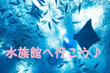 水族館へ行こう